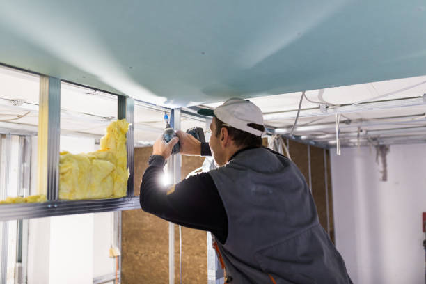 Best Fiberglass Insulation in Sisseton, SD